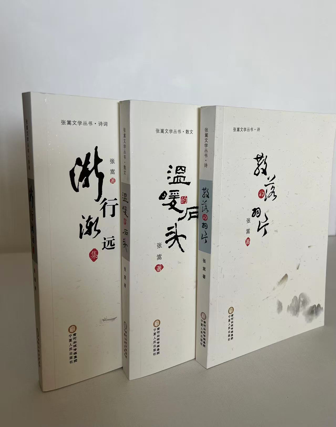 《张嵩文学丛书》 宁夏人民出版社2015年5月出版.jpg
