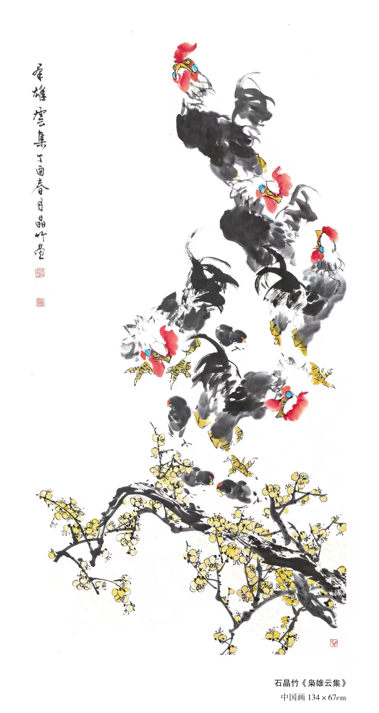 石晶竹.png
