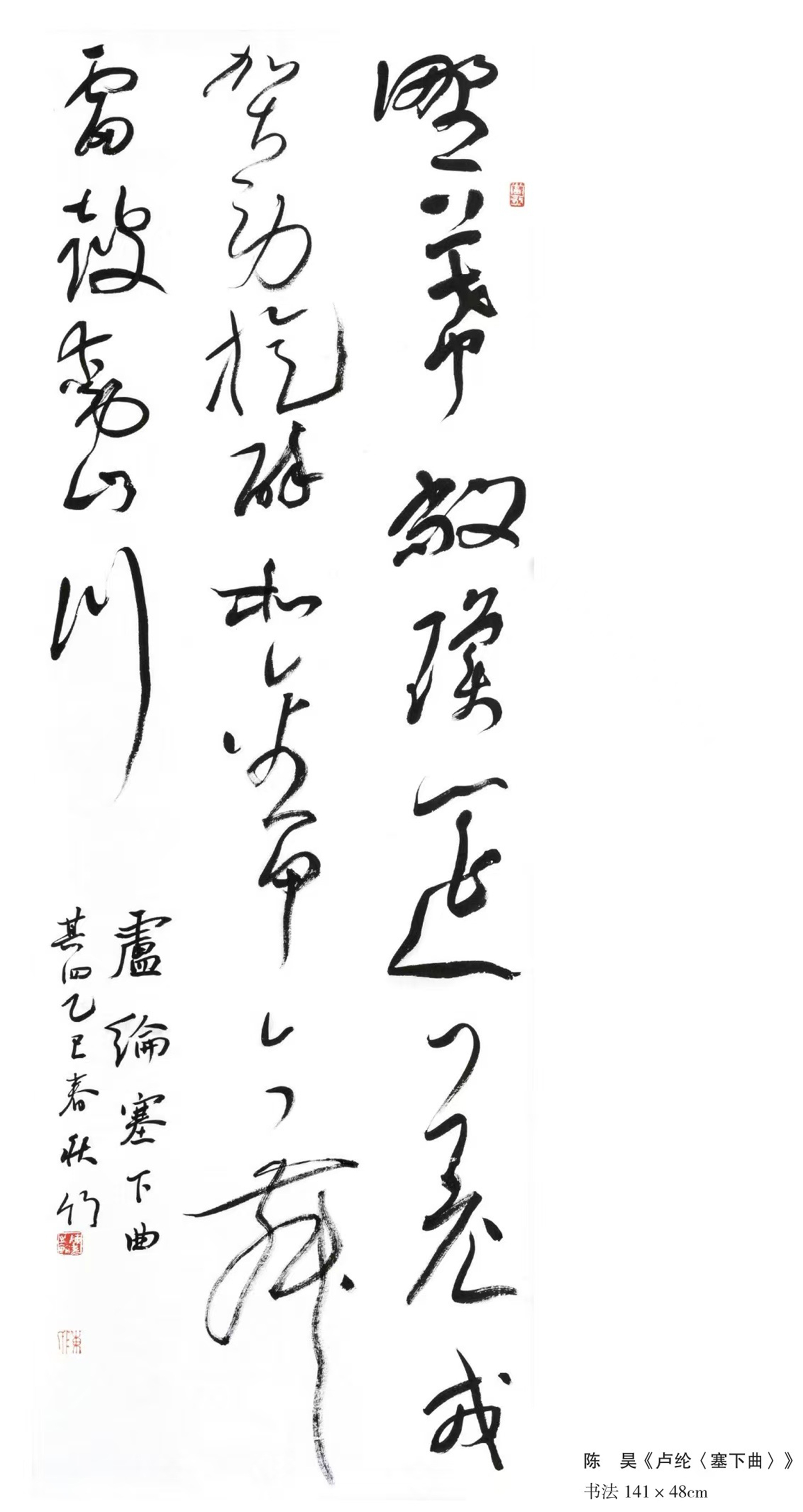 陈昊.jpg